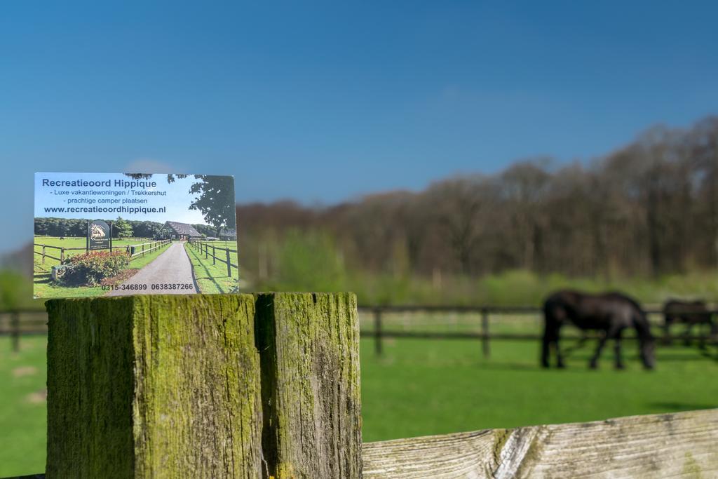 Recreatieoord Hippique Villa Westendorp Ruang foto