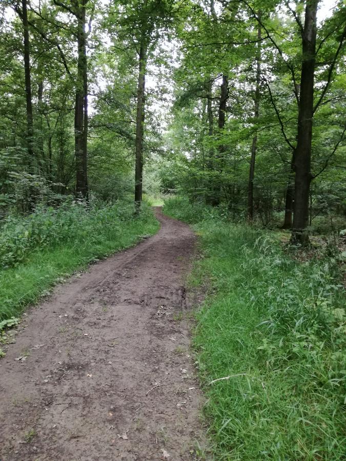 Recreatieoord Hippique Villa Westendorp Bagian luar foto